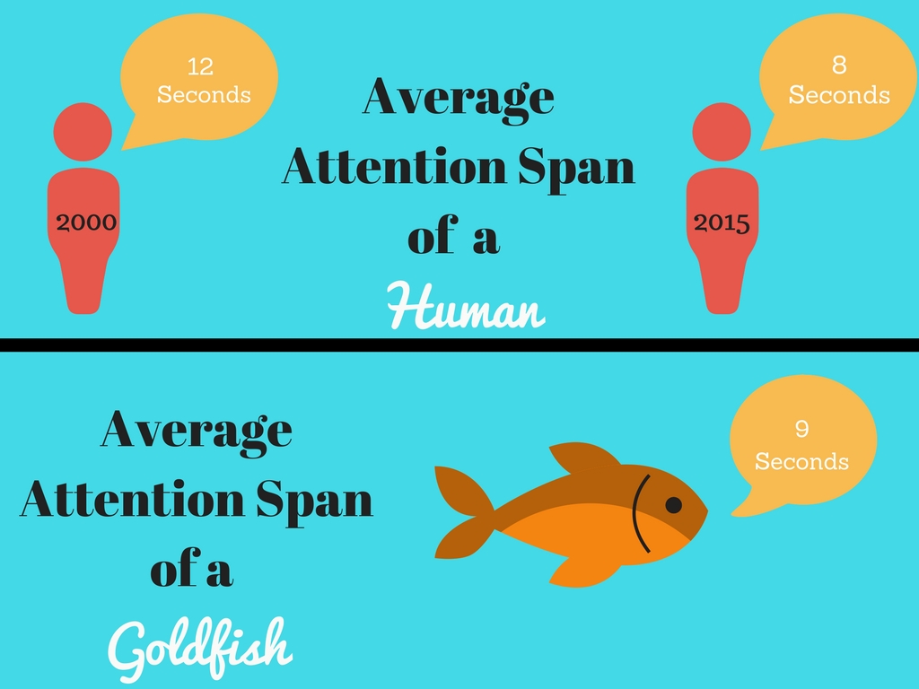 Attention spin. Average attention span over the years.