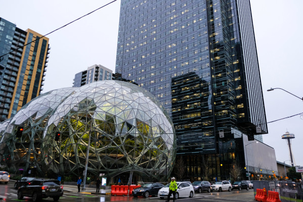 tc_amazon_spheres-50.jpg